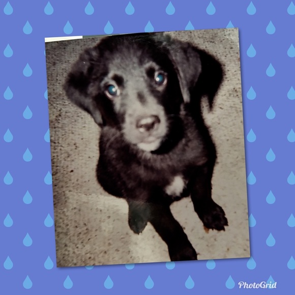 Meet your Posher, Tina - Picture 3 of 7